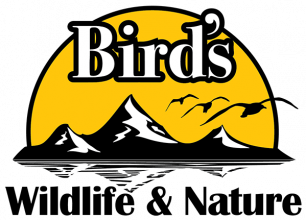Bird's Wildlife & Nature